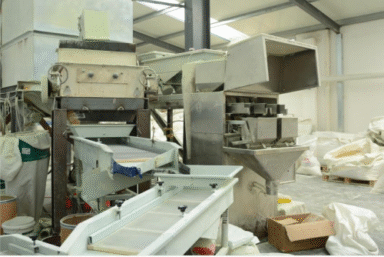New-trends-of-cat-litter-wholesale-industry