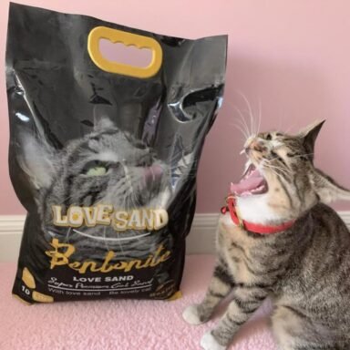 LOVE SAND® cat litter factory No.2
