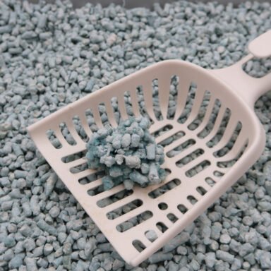 paper cat litter
